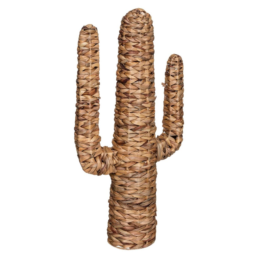 Cactus décoratif en jacinthe d'eau