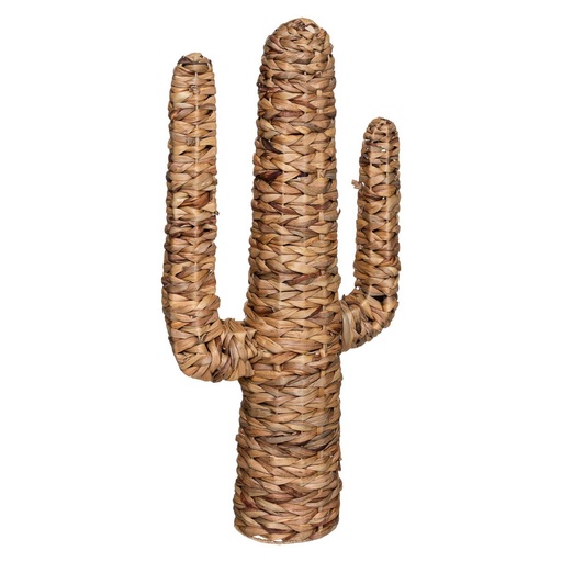 Cactus décoratif en jacinthe d'eau