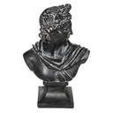 Buste Apollon H. 30 cm