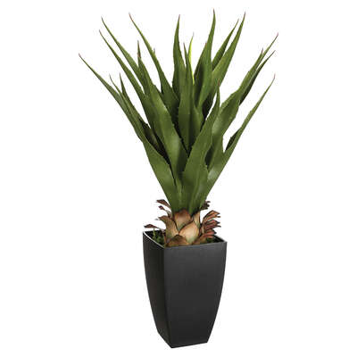 Plante artificielle agave