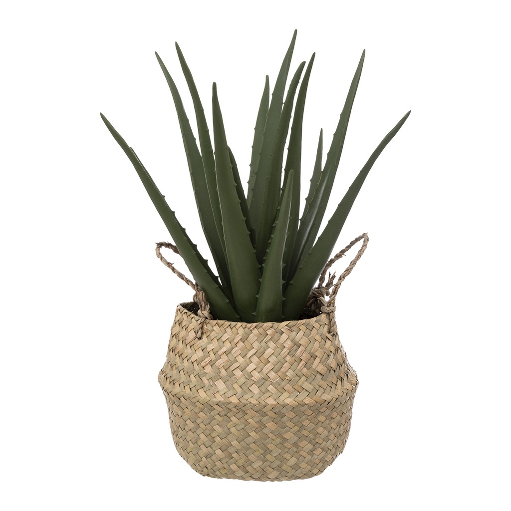 Aloe vera artificiel H. 37 cm avec pot naturel