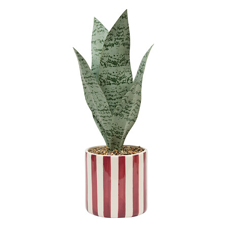 Sansevieria artificielle H. 38 cm pot céramique