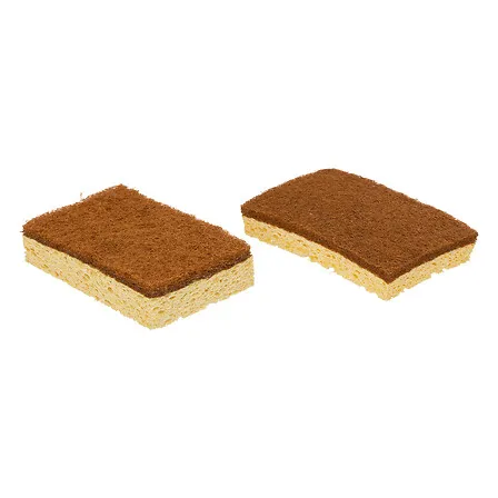 Lot de 2 éponges